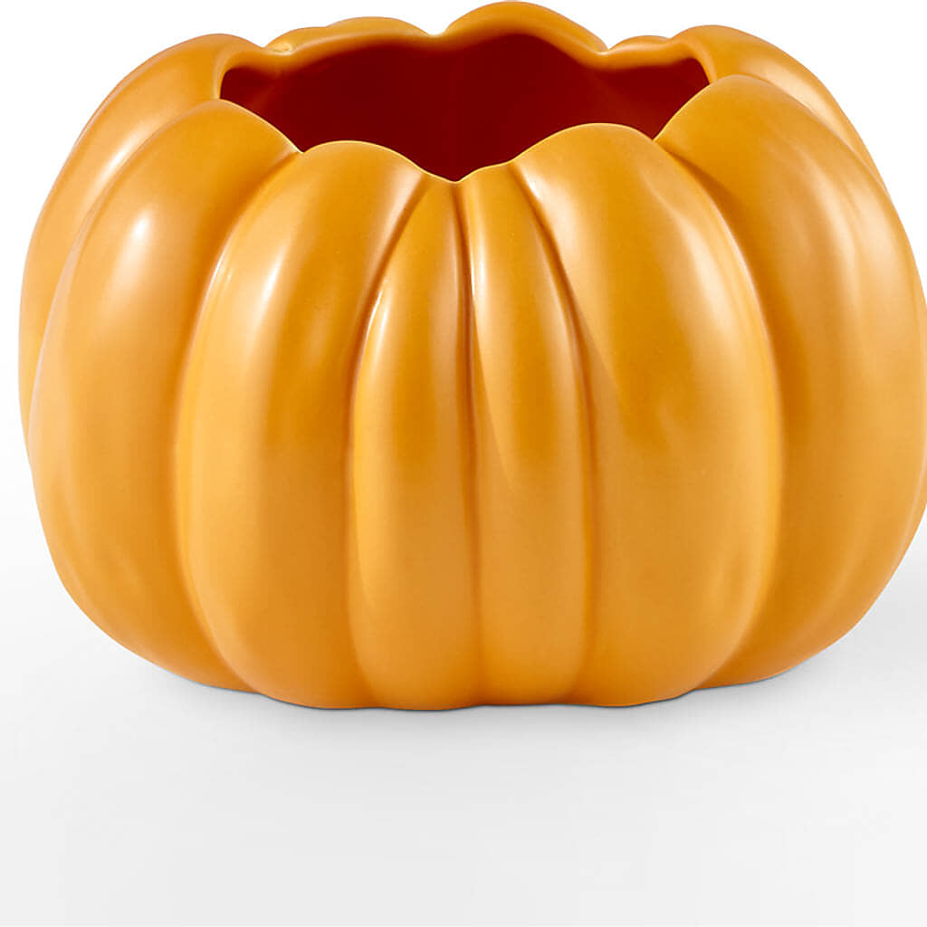 Pick of the Patch Pumpkin Bouquet –  Jen-mor Florist Inc, Dover DE