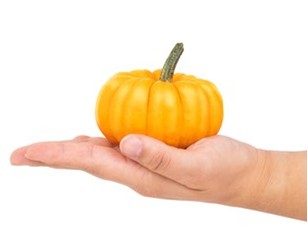 Jack be Little Mini Pumpkin –  Jen-mor Florist Inc, Dover DE