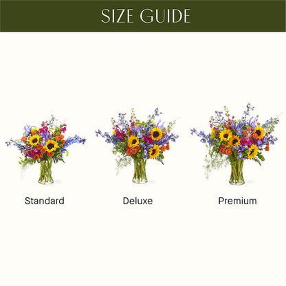 Rays of Life Bouquet –  Jen-mor Florist Inc, Dover DE