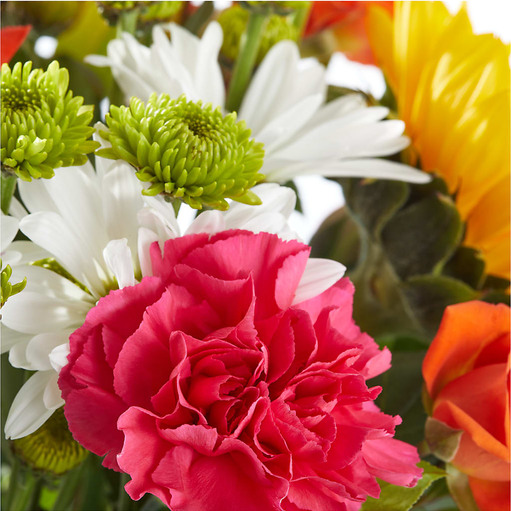 Sun-drenched Blooms Bouquet –  Jen-mor Florist Inc, Dover DE