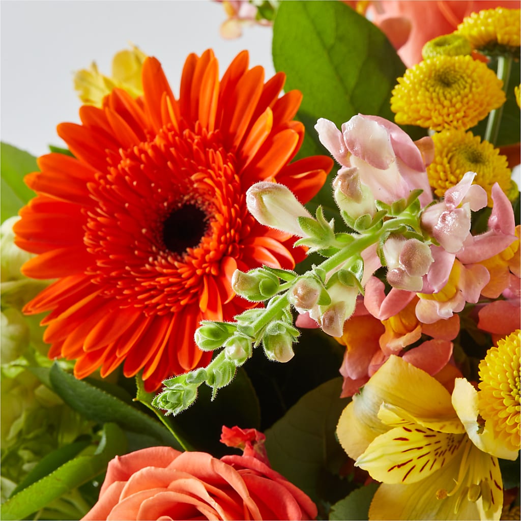 Autumn Sunshine Bouquet –  Jen-mor Florist Inc, Dover DE