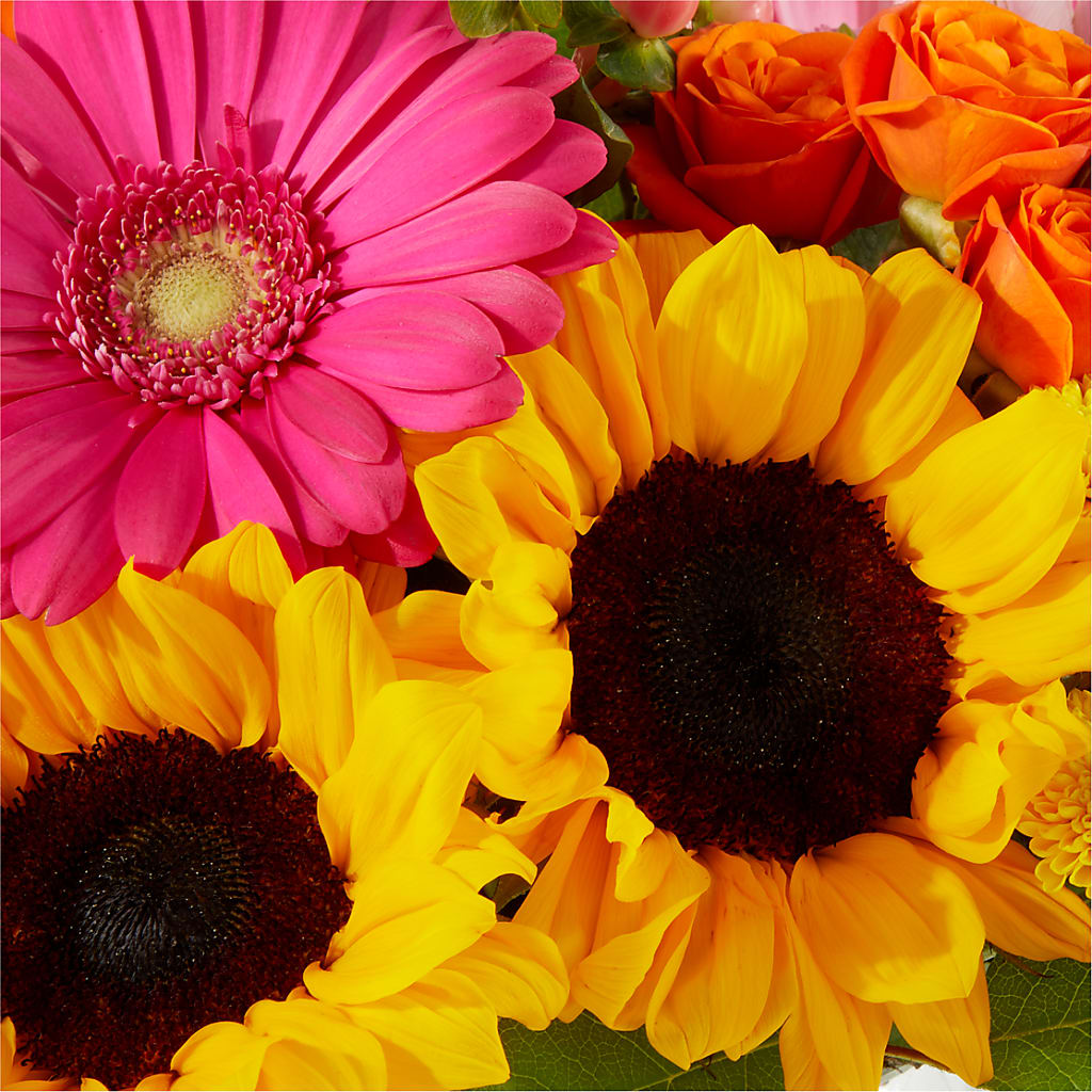 Beach Day Bouquet –  Jen-mor Florist Inc, Dover DE
