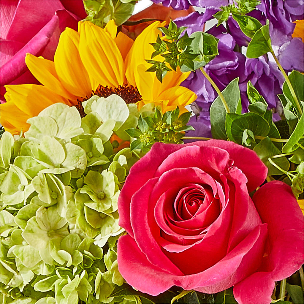 Vibrant Greetings Bouquet –  Jen-mor Florist Inc, Dover DE