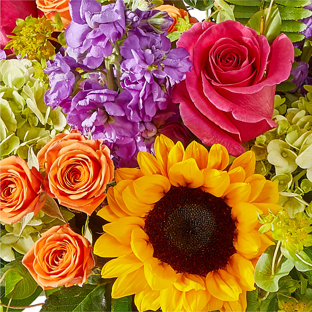 Vibrant Greetings Bouquet –  Jen-mor Florist Inc, Dover DE