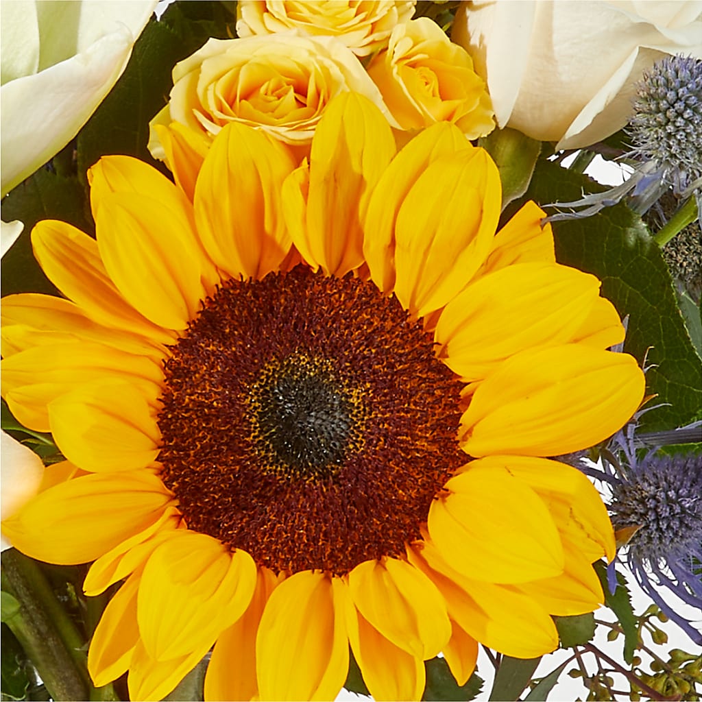 Wonderfully Sunny Bouquet –  Jen-mor Florist Inc, Dover DE