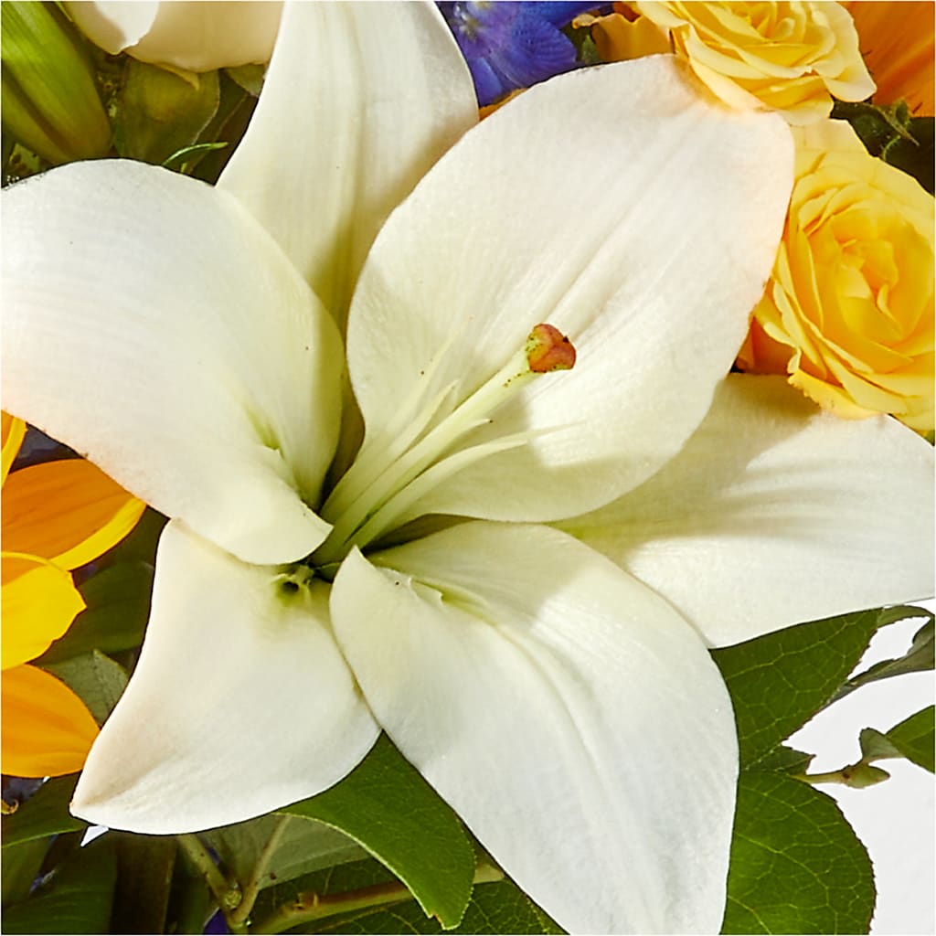 Wonderfully Sunny Bouquet –  Jen-mor Florist Inc, Dover DE
