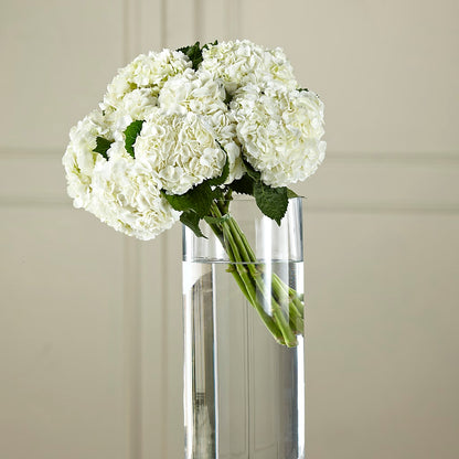 White Hydrangea Hand-Tied Bouquet –  Jen-mor Florist Inc, Dover DE