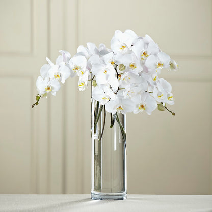 White Phalaenopsis Bouquet –  Jen-mor Florist Inc, Dover DE