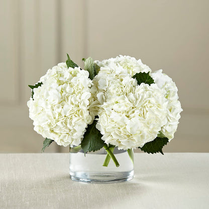 White Hydrangea Bouquet –  Jen-mor Florist Inc, Dover DE