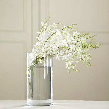 White Dendrobium Bouquet –  Jen-mor Florist Inc, Dover DE