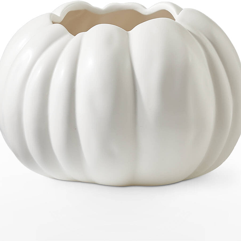 Pumpkin to Talk About Bouquet –  Jen-mor Florist Inc, Dover DE