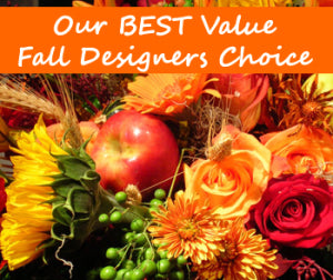 DESIGNERS CHOICE AUMTUMN