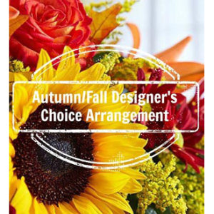 FDC Designers Choice Fall