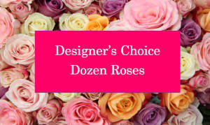 DESIGNERS CHOICE DOZEN ROSES